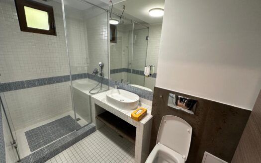 Apartament cu 1 camera  , central