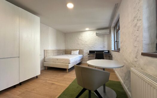 Apartament cu 1 camera  , central