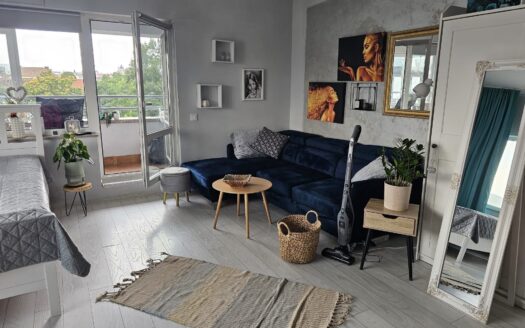 Apartament 1 camera , semicentral