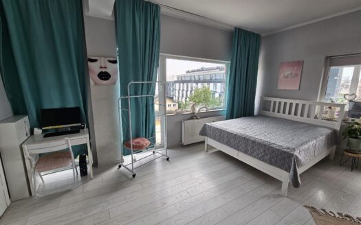 Apartament 1 camera , semicentral